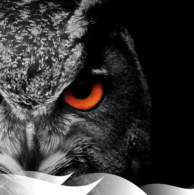 marketing online con Digital Nature