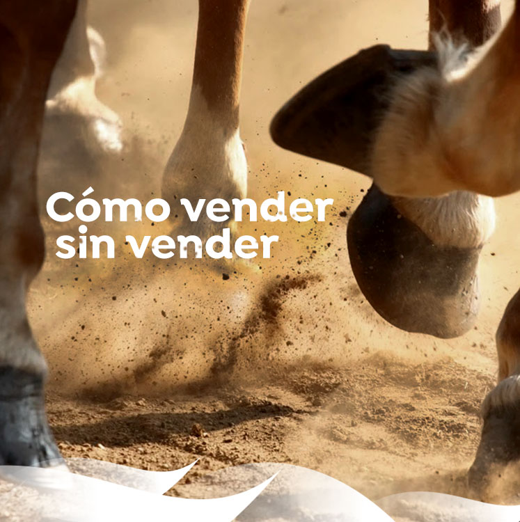agencia marketing contenidos