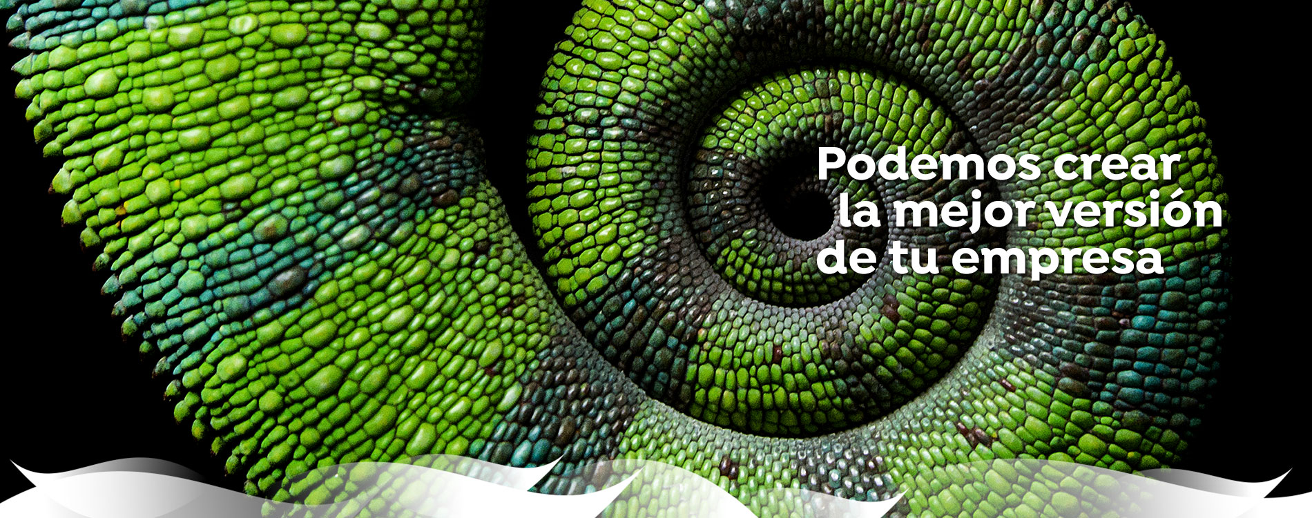 diseño de páginas web