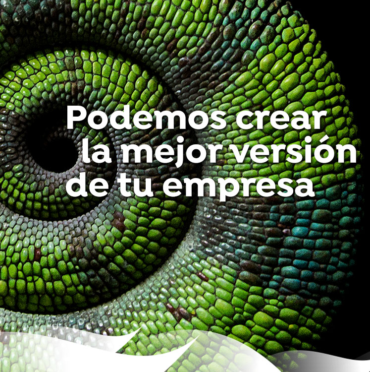 diseño web