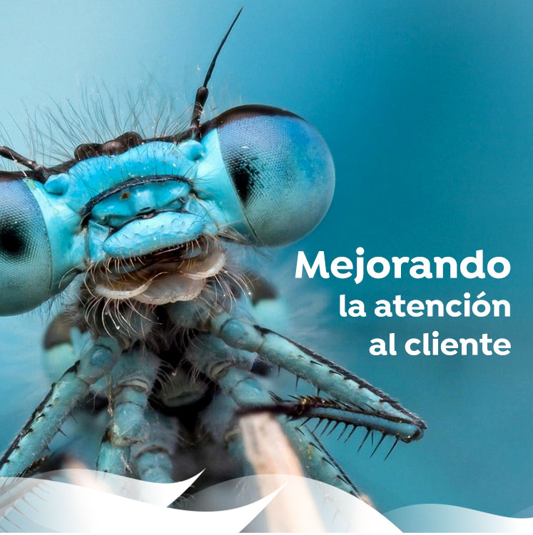 servicio facebook bot