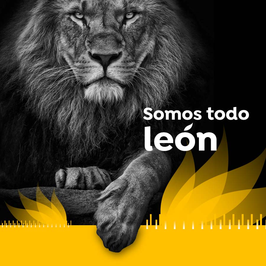 Agencia de Marketing Online en Alicante