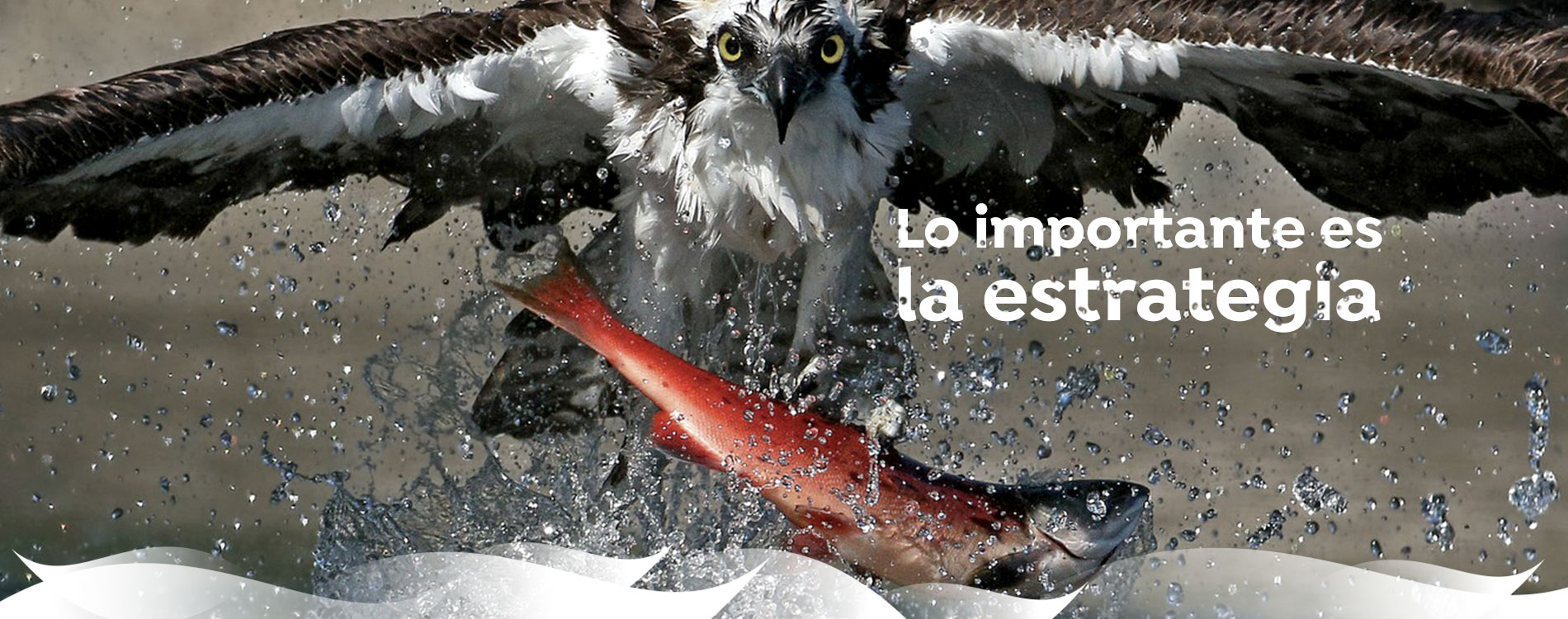 servicios de marketing online