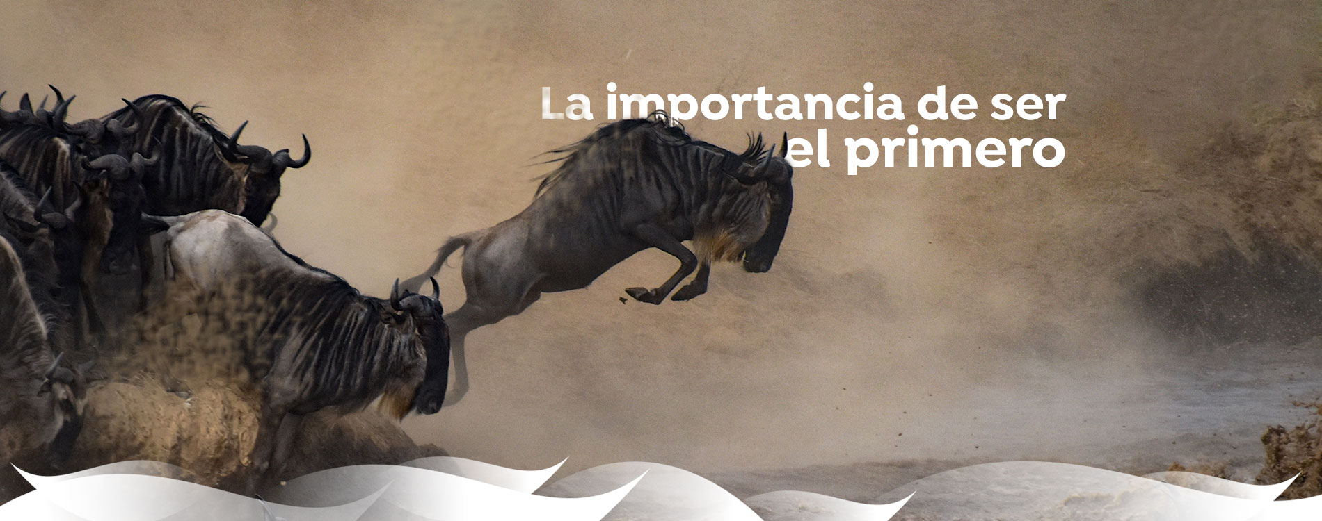 Agencia SEO posicionamiento Web en Alicante