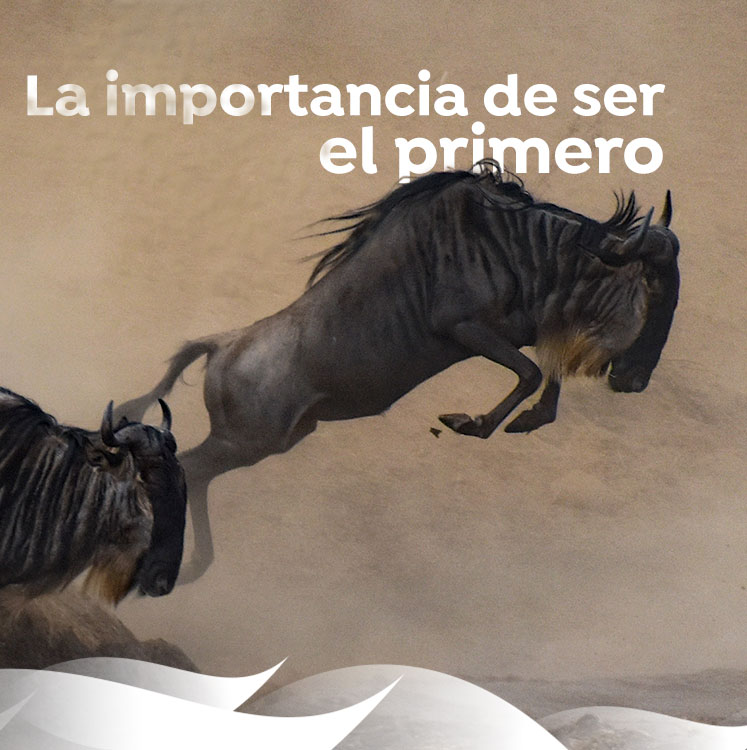 Agencia SEO posicionamiento Web en Alicante