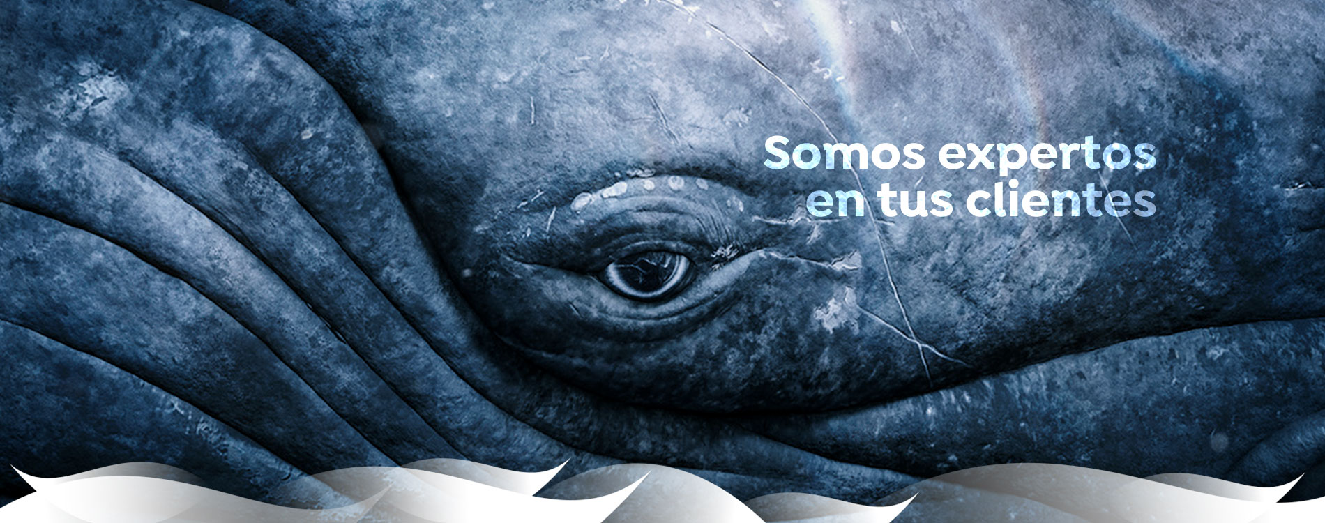 agencia de publicidad en internet