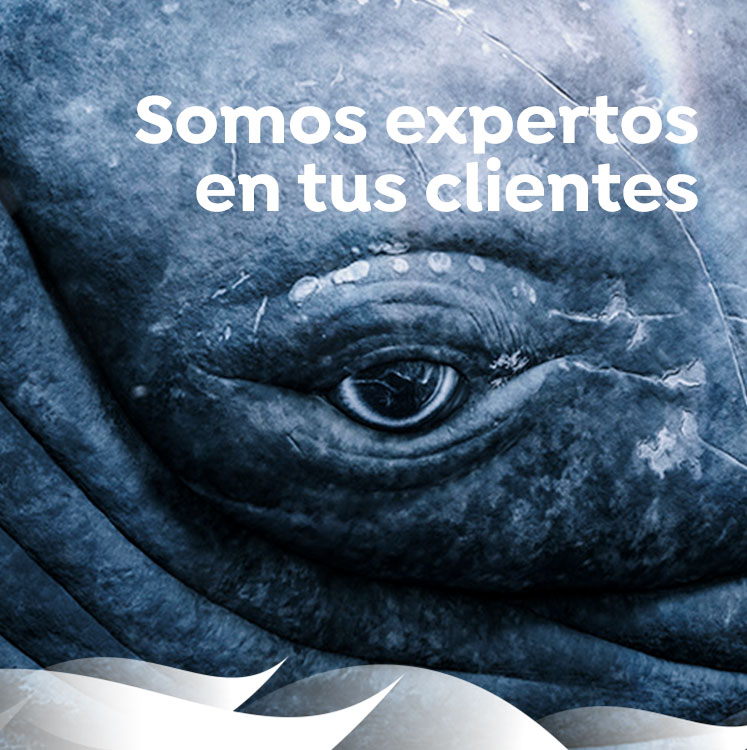 agencia publicidad en internet