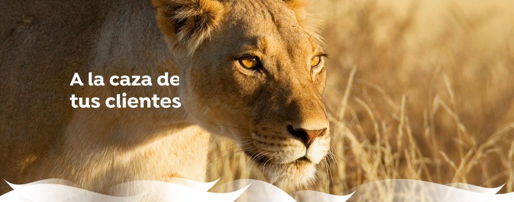 seo para ecommerce y tiendas online