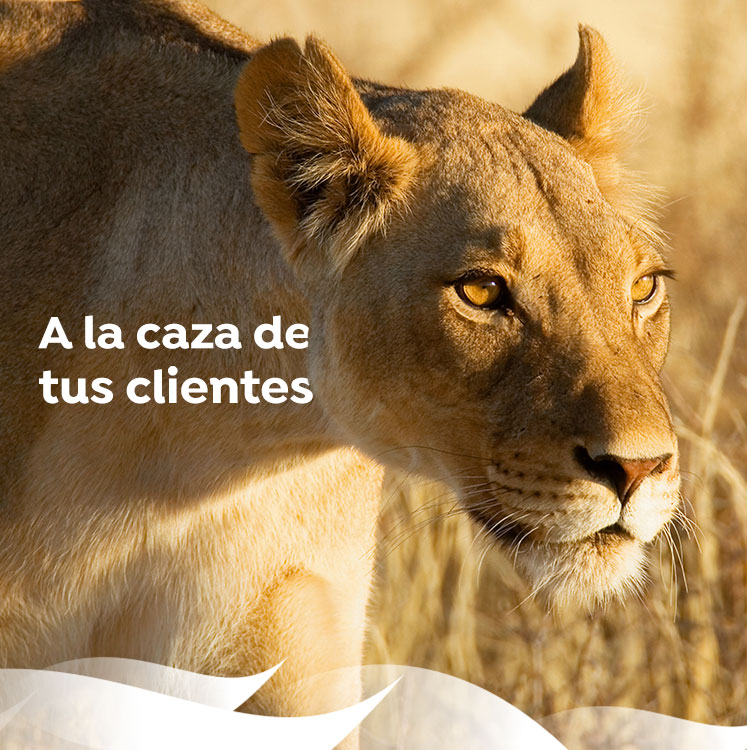 seo para ecommerce y tiendas online