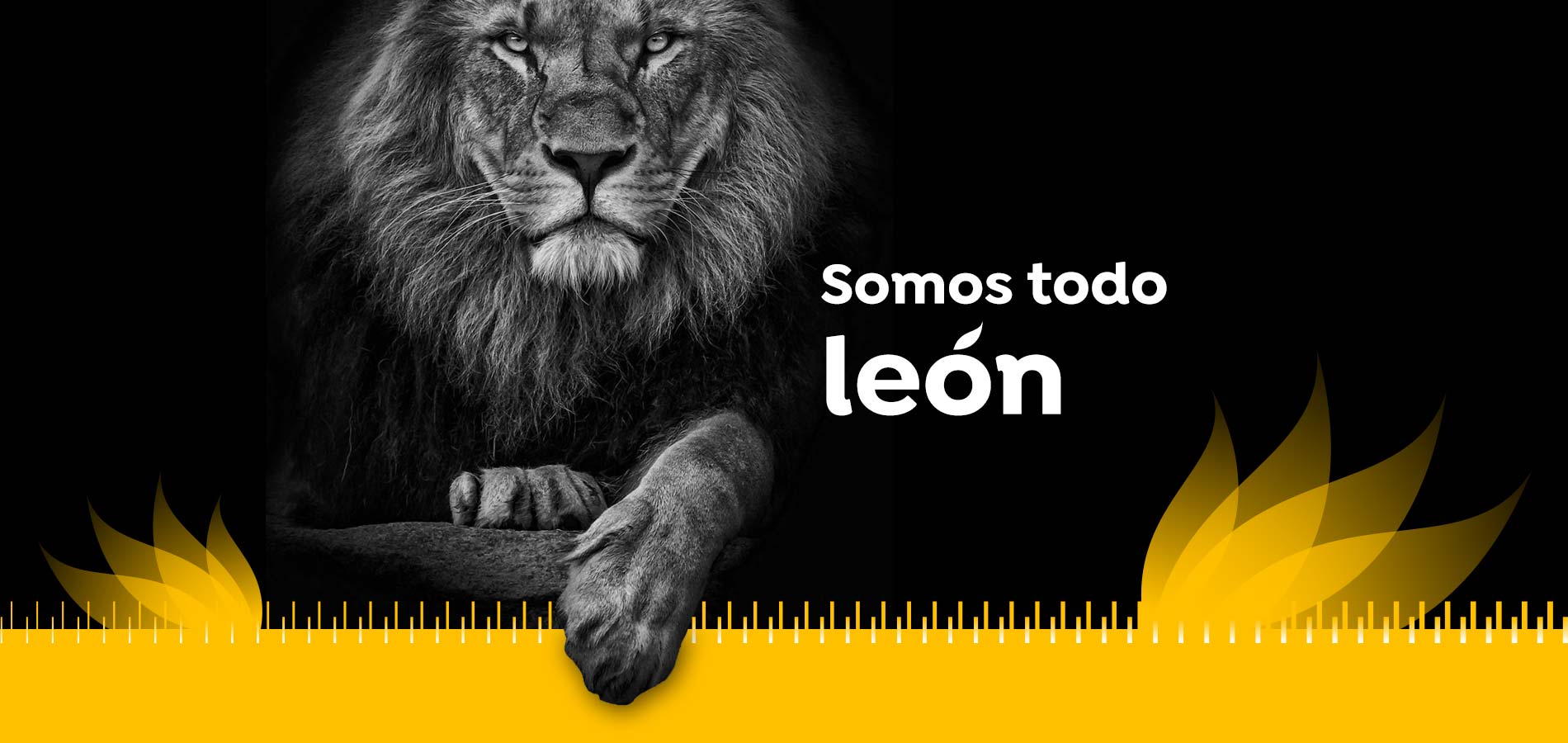 Agencia de Marketing Online en Alicante