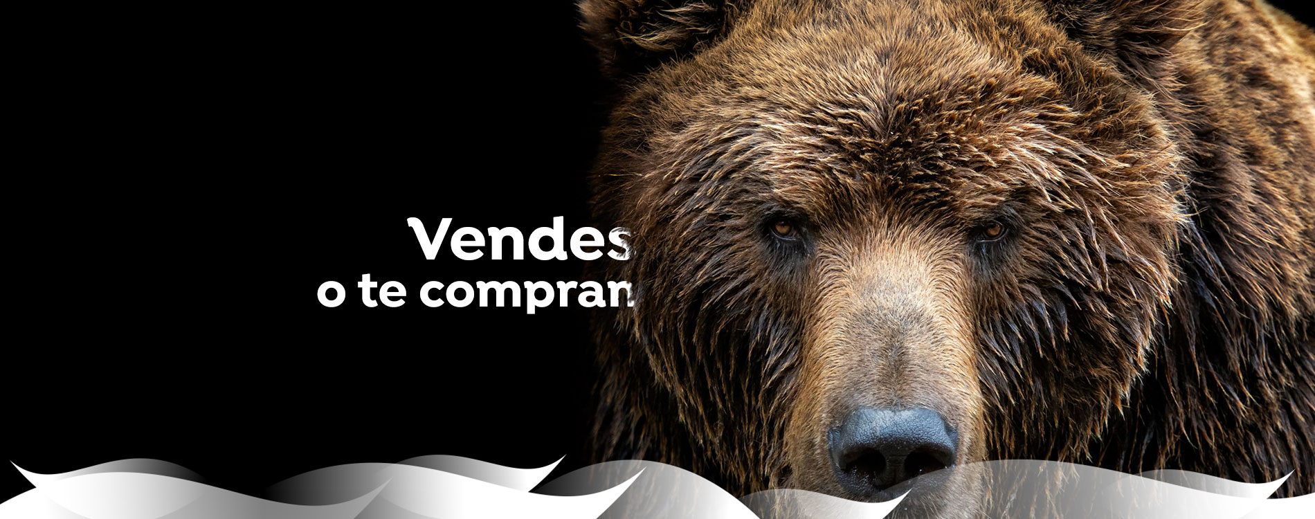 diseño de tiendas online