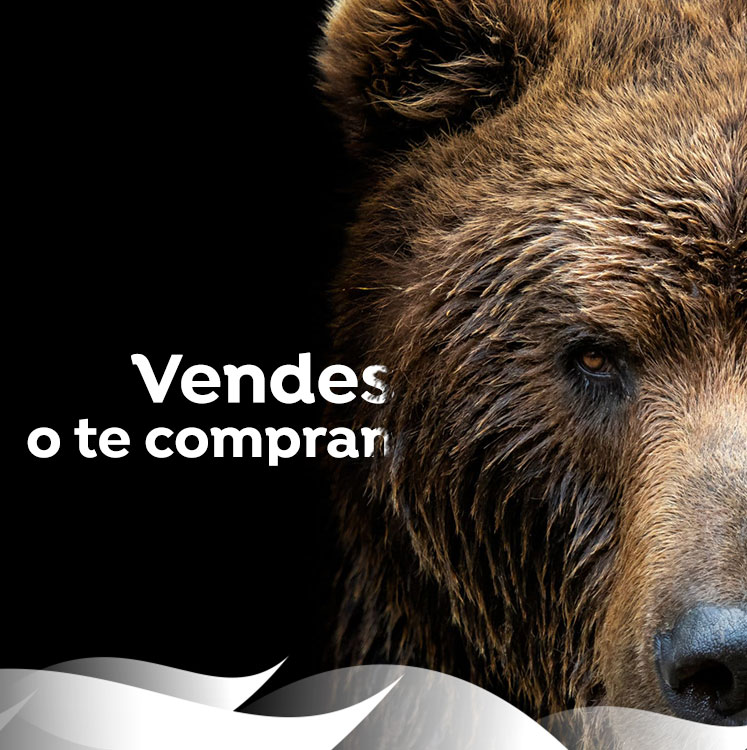 diseño tiendas online