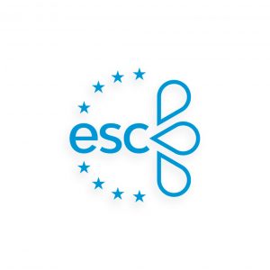 Diseño de logo corporativo