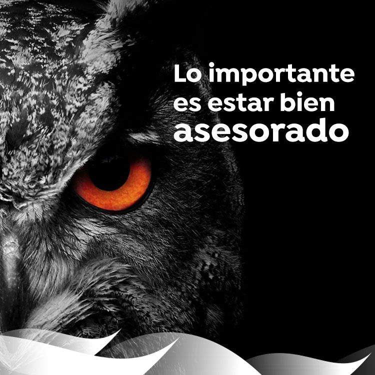 Consultoría Ecommerce