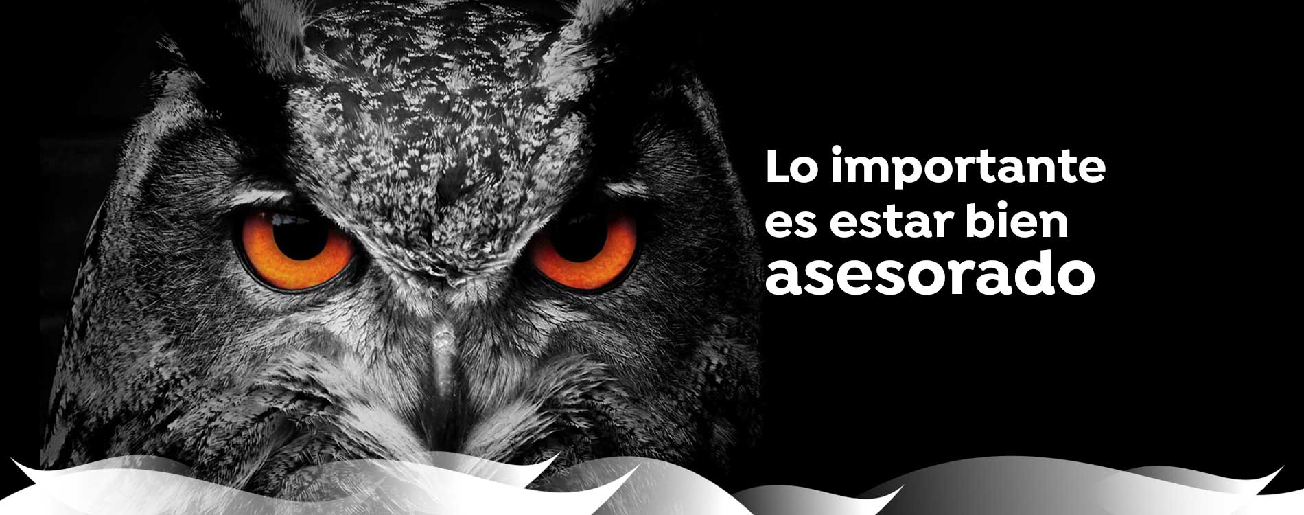 Consultoría Ecommerce