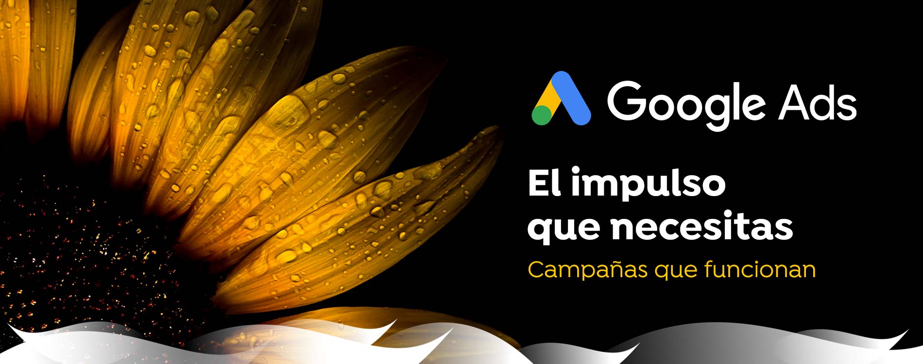 Agencia Google ADS