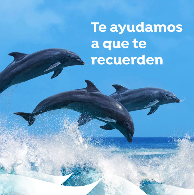 banner comunicacion corporativa en alicante version movil