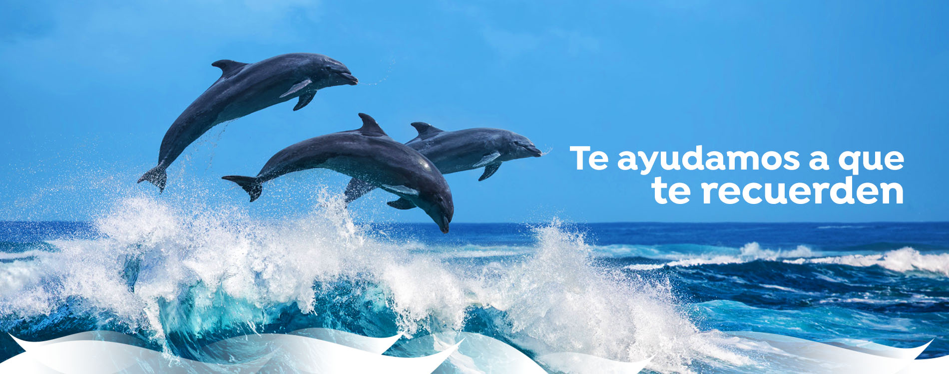 banner comunicacion corporativa en alicante