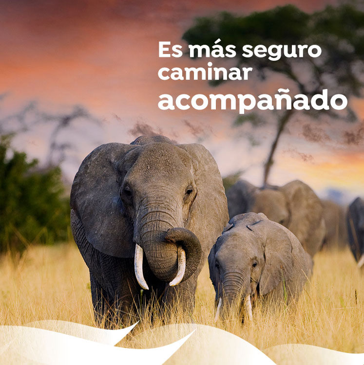 consultoria de marketing digital