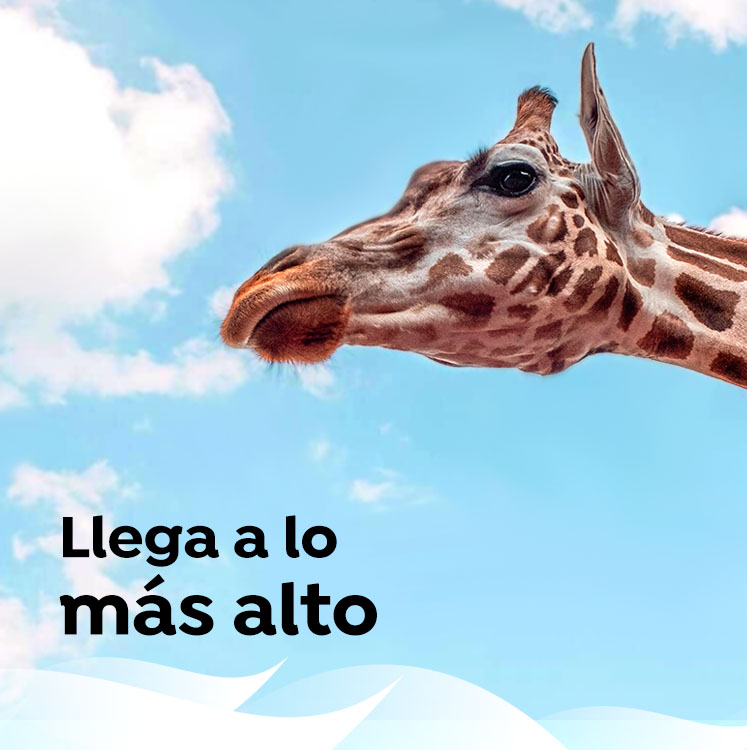 publicidad en centros comerciales