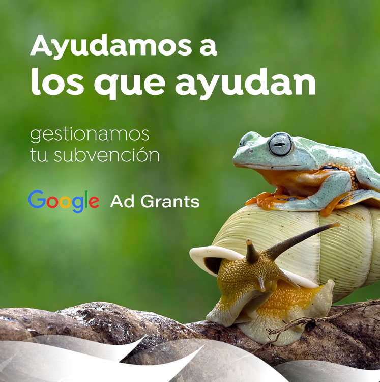 Google Ad Grants